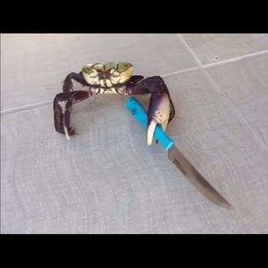 Meet your Posher, Shawn